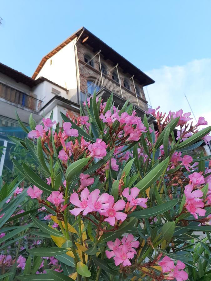 Le Case di Angelina - Langhe Loft&Suites Farigliano Buitenkant foto
